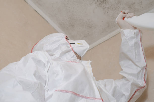 Best Black Mold Removal  in Narrows, VA