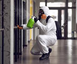 Best Mold Prevention Services  in Narrows, VA